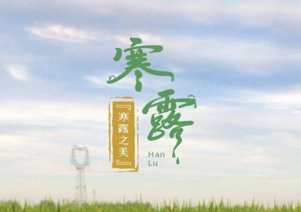 寒露凝匠心 镁材启新程 | 深耕镁盐赛道，护航下游产业秋冬稳产